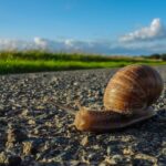 Overcoming Challenges in Selling Used Electric Vehicles at Dealerships: 99 exchange login, Laser 247 deposit number, Yolo247 apk login