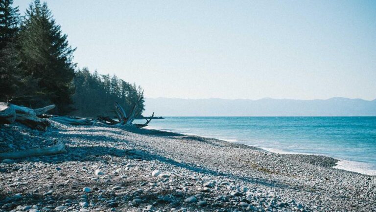 How To Proceed From The Welcome Cricbet99 Page?